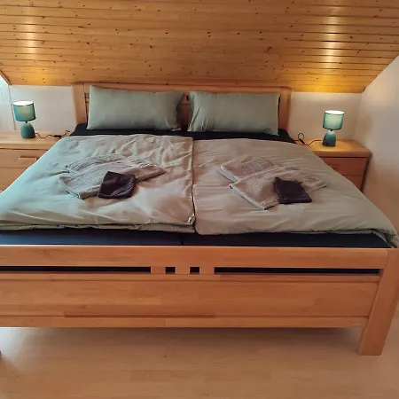 Rheinuferhaus Dom wakacyjny *