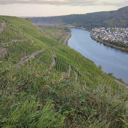 Σπίτι διακοπών Rheinuferhaus Urmitz