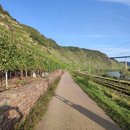 Σπίτι διακοπών Rheinuferhaus *