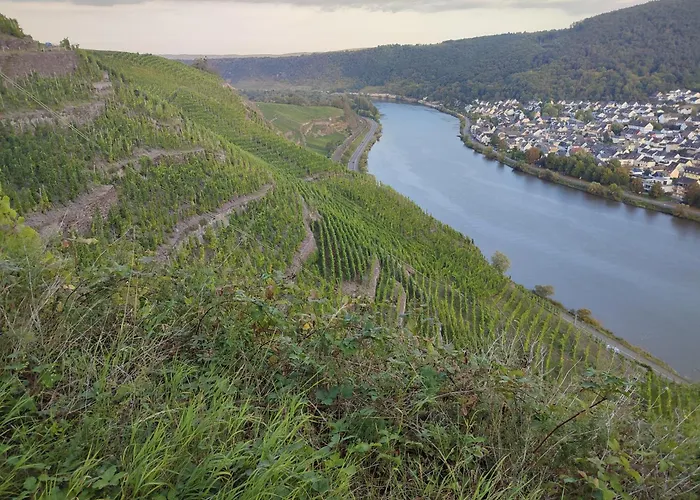 펜션 Rheinuferhaus Urmitz