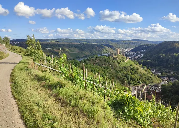 Rheinuferhaus 펜션 *