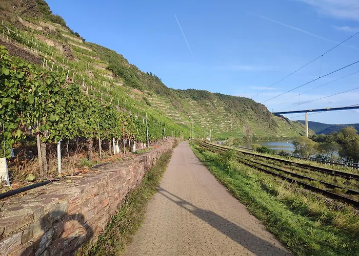 Dom wakacyjny Rheinuferhaus *